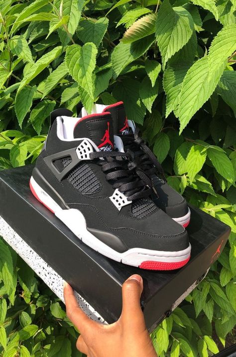 Bred 4s, Jordan 4 Bred, Jordan Low, Trendy Shoes Sneakers, Dr Shoes, Jordan Shoes Girls, Pretty Shoes Sneakers, Kicks Shoes, Jordan Shoes Retro