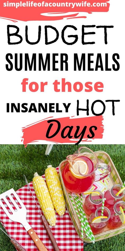 Cheap Summer Dinner Ideas, Meals For Hot Days, Healthy Summer Meals, Hot Day Dinners, Summer Budget, Hot Weather Meals, Quick Summer Meals, Light Dishes, Easy Cheap Dinners