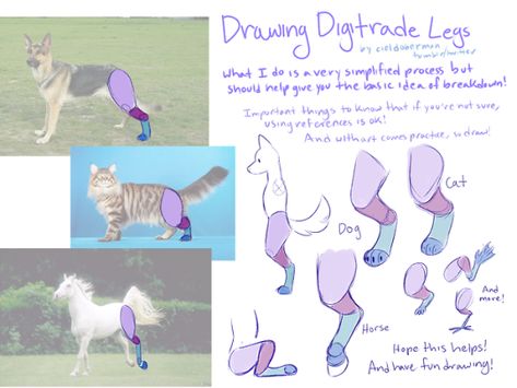 Ciel Doberman Cat Drawing Tutorial, Cat Anatomy, Body Reference Drawing, Man Down, Caught On Camera, Poses References, Figure Drawing Reference, Anatomy Reference, Awkward Moments