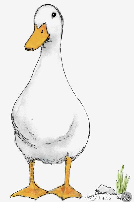 Duck Watercolor, Duck Drawing, Arte Doodle, Duck Art, A Duck, Art Et Illustration, White Duck, Bird Drawings, Art And Illustration