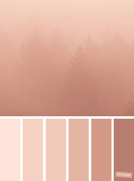 Blush tones : Pretty blush color scheme ,blush color combinations #blush #color #colorpalette Blush Color Scheme, Blush Color Palette, Soyut Sanat Tabloları, Blush Tones, Bedroom Color Schemes, Color Palette Design, Color Inspo, Paint Colors For Home, Blush Color