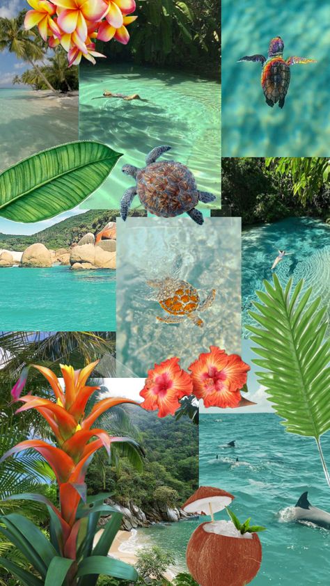 #tropicore #seacore #oceancore #seapunk #tropical Luvleysigns Wallpaper, Tropical Home Screen, Tropical Wallpaper Aesthetic, Vintage Tropical Aesthetic, Tropical Wallpaper Iphone, Seacore Aesthetic, Tropical Beach Wallpaper, Sea Core Aesthetic, Tropical Collage