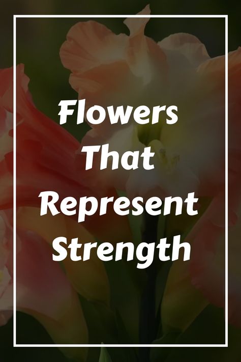 Looking for a meaningful symbol of strength? Flowers have long been associated with certain qualities and emotions, and there are many blooms that represent Flowers For Strength, Flowers That Symbolize Strength, Flowers That Mean Strength, Flower Representing Strength, Flowers That Represent Strength, Scottish Army, 10 Flowers, Gladiolus Flower, Symbol Of Strength