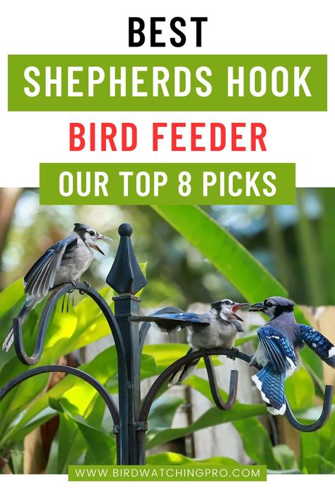 Best Shepherds Hook Bird Feeder Shepherds Hook, The Good Shepherd, Backyard Birds, Bird Feeder, Bird Lovers, Bird Watching, Bird Feeders, The Top, Make Your