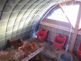 Critique my hoop coop design! (shelters and habitat forum at permies) Hoop House Chickens, Hoop Coop, Basement Repair, Chicken Roost, Cute Chicken Coops, Meat Birds, Poultry House, Backyard Chicken Coop Plans, Chicken Pen