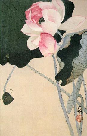 japanese print lotus | April 22, 2010 Morning Mantras, Cultivate Kindness, Arte Yoga, Ohara Koson, Buddhist Quotes, Meditation Quotes, Sumi E, Chinese Painting, Flowers And Leaves