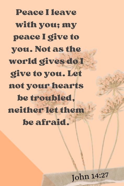 John chapter 14 verse 27 talks about God's kind of peace. The peace that remains in you forever irrespective of your situation. It quenches every trouble even before they come. Jesus referred to such peace in Philippians 4 verse 7 as the peace that surpasses all human understanding. Peace That Surpasses All Understanding, Being A Caregiver, Keep The Peace, Prince Of Peace, Philippians 4, The Peace, Practical Advice, Caregiver, Love Story