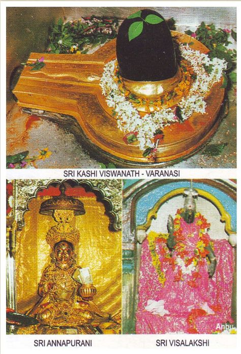 Kasi Vishwanathar Sher Shah Suri, Kashi Vishwanath Temple, Kashi Vishwanath, Shiva Shankara, Mother Kali, Hindu Temples, Aadi Shakti, Shiva Linga, Lord Balaji