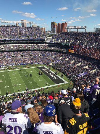 M&T Bank Stadium (Baltimore) - 2019 All You Need to Know BEFORE You Go (with Photos) - TripAdvisor Nfl Stadium, Bc Place Stadium, M&t Bank Stadium, Ibrox Stadium, Biggest Stadium, Baltimore Ravens Stadium, Nfl Stadiums, Baltimore Ravens Football, Ravens Football