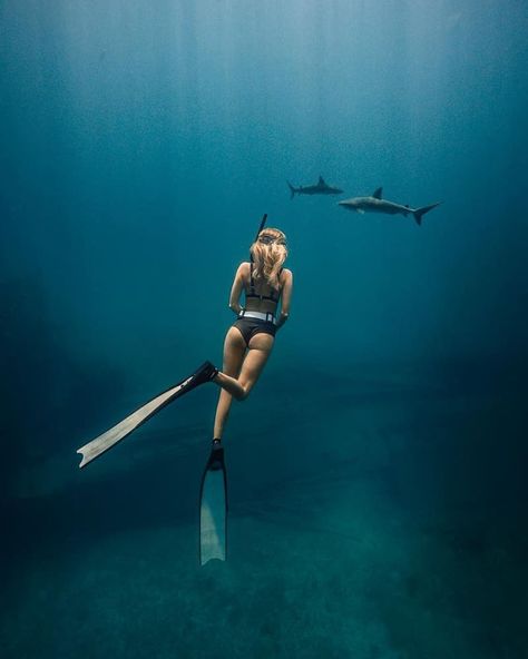 Feeling so alive playing in the ocean almost everyday and this freedive was definitely one of my favorite..watching these beautiful… Underwater Pictures, Free Diving, Underwater Photos, Ocean Vibes, Water Photography, Jolie Photo, Underwater Photography, In The Ocean, Ocean Photography