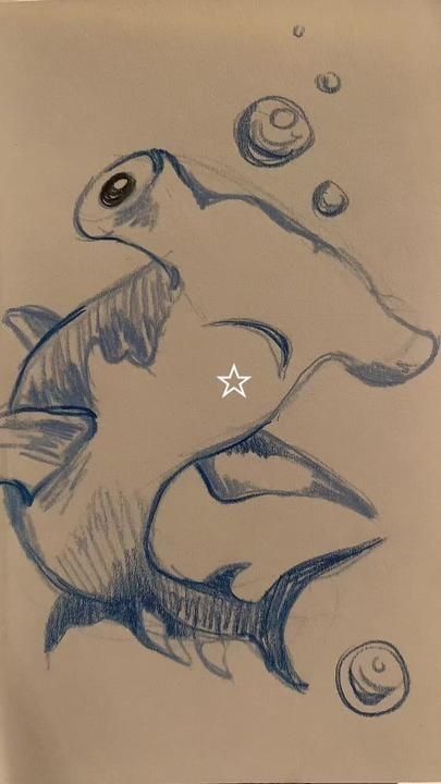 Hammerhead Shark Drawing Sketches, Marine Life Doodles, Sharks Doodle, Whale Shark Drawing Sketches, Hammer Head Shark Drawings, Cute Ocean Animals Drawings, Sea Animals Drawing Sketch, Sharks Sketch, Shark Drawing Simple