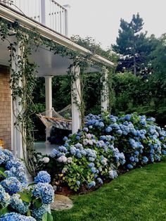 2017 Nantucket by Design opening night-1 Hydrangea Landscaping, Landscape Design Drawings, Farmhouse Landscaping, Blue Hydrangeas, Garden Wallpaper, Landscape Design Plans, Farmhouse Garden, Have Inspiration, Dream Houses