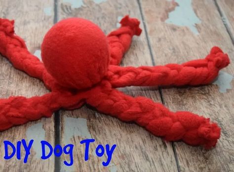 DIY Dog Toy & Nature's Recipe® Handmade Dog Toys, Homemade Dog Toys, Dogs Diy Projects, Diy Pet Toys, Dog Toys Indestructable, Diy Dog Toys, Sweet Potatoes For Dogs, Dog Training Classes, Dog Enrichment