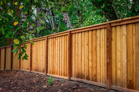 Picture frame fencing constructed from quality cedar material with overlapped boards. Drought Landscaping, Backyard Luxury, Perimeter Fence, Backyard Gates, Garden Railings, Fence Options, Wood Privacy Fence, Wood Fence Design, Challenge Course