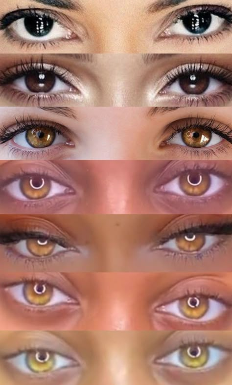 Honey Eyes Color, Golden Hazel Eyes, Amber Eyes Color, Pretty Eyes Color, Light Brown Eyes, Rare Eye Colors, Cool Contacts, Eyes Reference, Honey Eyes