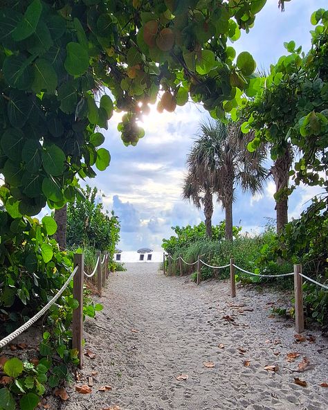 🌴 In the Heart of Miami Beach  🌴  Experience Miami's best from this beachfront apartment! 🏖🌴 Just steps from the iconic Boardwalk—perfect for sunrise jogs 🏃♂ or sunset strolls 🌅.   Your Miami adventure starts here! 🌊✨  🌐https://serena-miami-beachfront.com/  #MiamiBeach #VisitMiamiBeach #OceanView #Beachfront #LoveMiamibeach #BeachVibes #VacationRental #LuxuryLiving #BeachApartment  #MiamiLife #TravelMiami #MiamiBeachVacation Miami Coconut Grove, Beachfront Apartment, Miami Aesthetic, Miami Life, Beach Towns, Running On The Beach, Dream Places, 2025 Vision, Beach Town