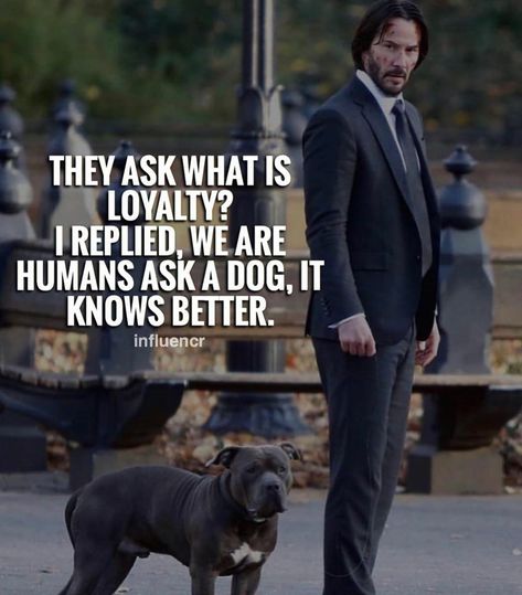 They ask what is loyalty? I replied, we are humans ask a do, it knows better. Life quotes, humanity. Dog Loyalty Quotes, Loyalty Quotes, Leader Quotes, Gary Vaynerchuk, Millionaire Quotes, Motivational Quotes For Students, Business Coach, Tony Robbins, Entrepreneur Quotes