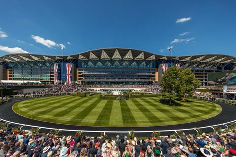 Royal Ascot 2024 | The Ascot You Returns | Ascot Racecourse Luxury Hats For Royal Ascot Event, Fitted Hats For Royal Ascot And Vintage Events, Ascot Rainbow Spurge, Luxury Fitted Headpiece For Royal Ascot, Royal Ascot 2024, Ascot Horse Racing, Thoroughbred Horse Racing, Thoroughbred Horse, Royal Ascot