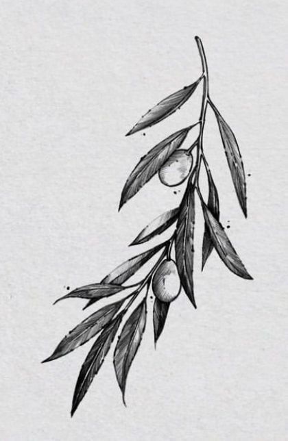 Men Olive Branch Tattoo, Olive Branch Reference, Pecan Branch Tattoo, Men’s Olive Branch Tattoo, Olive Leaf Tattoo Arm, Christian Olive Branch Tattoo, Mens Olive Branch Tattoo, Olive Tree Tattoo Men, Roman Leaves Tattoo