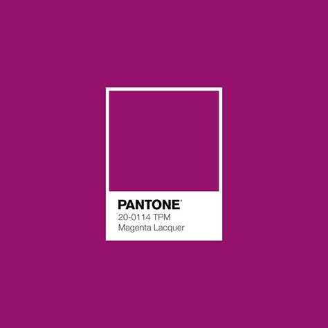 Deep Magenta Paint Color, Black Tile Bathrooms, Random Wallpaper, Pantone Colour Palettes, Aesthetic Color, Color Reference, Color Magenta, Retro Theme, Color Inspo