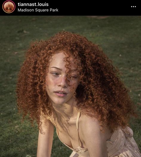 Mixed Race Red Hair, Ginger Woman Face Claim, Copper Orange Curly Hair, Ginger Hair On Tan Skin Curly Hair, Burnt Orange Curly Hair, Light Copper Curly Hair, Orange Hair Tan Skin, Long Curly Ginger Hair, Dark Ginger Curly Hair