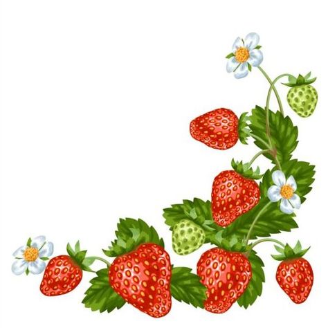 Fresh strawberries background design vectors 05 Strawberries Background, Strawberries Illustration, Art Sketches Digital, Strawberry Pictures, Strawberry Background, Strawberry Clipart, Strawberry Drawing, Strawberry Tattoo, Sketches Digital