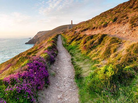 South West Coast Path, Walking Holiday, Walking Trails, The Walk, South West, West Coast, The South, Need To Know, Places To Visit