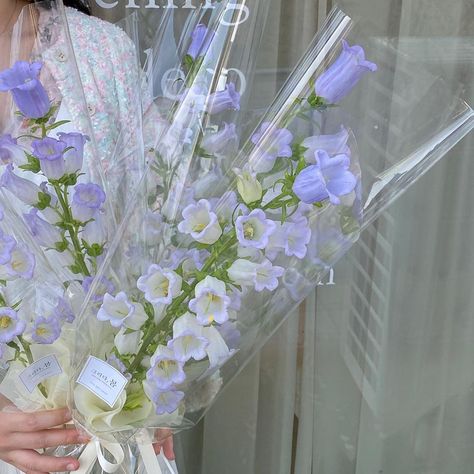 Bell Flowers Aesthetic, Campanula Bouquet, Flower Bucket Bouquets, Bell Flower Bouquet, Bellflower Bouquet, Flower Boquet, Diy Bouquet Wrap, Boquette Flowers, Flower Guide