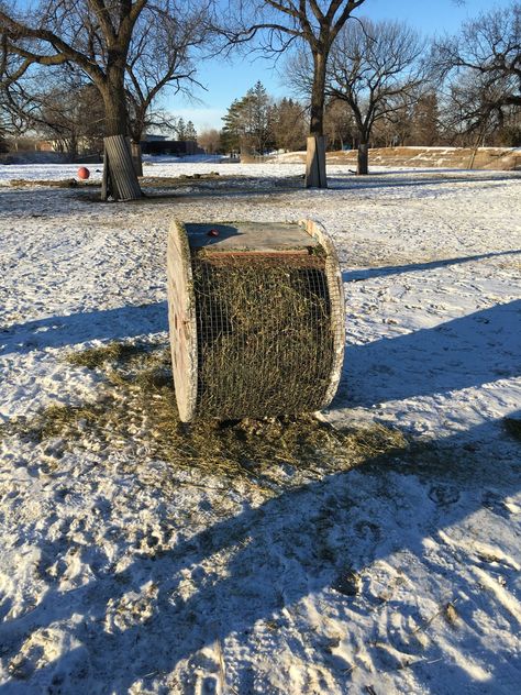 Hoofstock Enrichment, Horse Enrichment, Horse Slow Feeder, Toys For Horses, Round Bale Feeder, Hay Feeder For Horses, Paddock Trail, Horse Feeder, Animal Enrichment