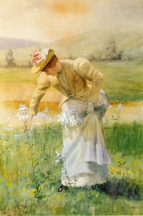 A Beginner's Guide To Wild Edible And Medicinal Plants Woman Picking Flowers, Scott Evans, Edible Wild Plants, John Piper, Picking Flowers, Image Chat, Image Nature, Wild Edibles, Tableau Art