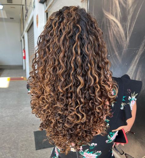 Dimensional Highlights Curly Hair, Copper Highlights On Black Hair Curly, Black Curls With Highlights, Caramel Highlights Black Women, Brunette Curly Hair Highlights, Light Brown Highlights Curly Hair, Highlights On Dark Curly Hair, Curly Hair Brown Highlights, Brown Highlights Curly Hair