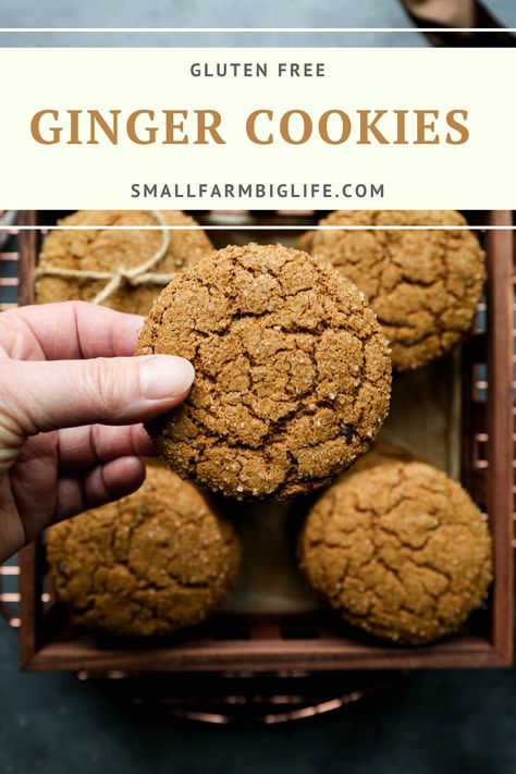 Gf Gingerbread Cookies, Gluten Free Ginger Cookies, Gluten Free Ginger Snaps, Crystalized Ginger, Flourless Baking, Gluten Free Christmas Recipes, Soft Chewy Cookies, Soft Ginger Cookies, Chewy Ginger Cookies