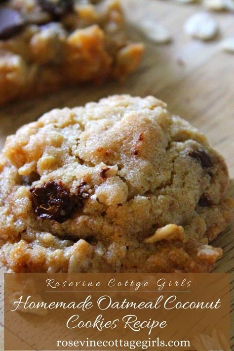 The Most Delicious Oatmeal Coconut Cookies Oatmeal Coconut Chocolate Chip Cookies, The Best Oatmeal, Delicious Oatmeal, Oatmeal Coconut Cookies, Coconut Cookies Recipes, Coconut Chocolate Chip Cookies, Coconut Oatmeal, Oatmeal Cookie Recipes, Best Oatmeal