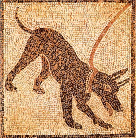 (NPS) Mosaico romano Cave canem. Dog Mosaic, Ancient Dogs, Pompeii Italy, Pompeii And Herculaneum, Roman Mosaic, Rome Antique, Roman City, Beware Of Dog, Mosaic House