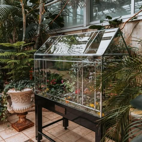 Victorian Terrariums, Greenhouse Terrarium, Terrarium Shop, Wardian Case, Large Terrarium, Beautiful Terrariums, Victorian Garden, Vertical Gardens, Terrarium Diy