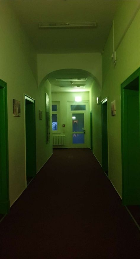 Creepy Hotel corridor in green light Creepy Apartment, Apartment Corridor, Horror Images, Cheap Hotel, Dreamcore Weirdcore, Book Names, Cheap Hotels, Going On A Trip, Hotel Room