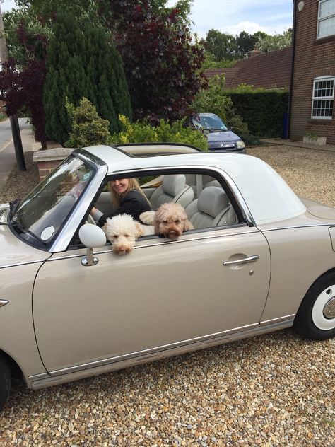 Nissan figaro taking the dogs out Figaro Car Nissan, Nissan Figaro Aesthetic, Figaro Car, Nissan Figaro, Car Interior Diy, Car Dream, Aesthetic Cars, Car Goals, Classy Cars