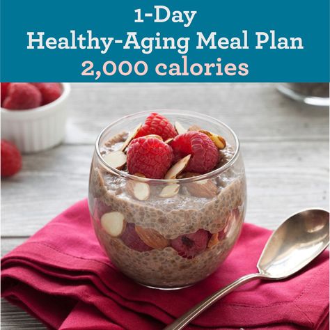 Senior Meals, Gluten Free Meal Plan, Calcium Vitamins, Chia Pudding Recipes, 2000 Calories, Free Meal Plans, Gluten Free Eating, Inflammatory Foods, 500 Calories