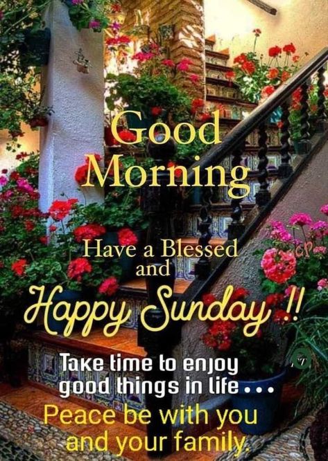 Good Sunday Morning, Sunday Blessings, Good Morning Flowers Quotes, Flowers Wallpapers, Good Morning God Quotes, Beautiful Flowers Wallpapers, Morning Flowers, Good Morning Flowers, Quotes About God