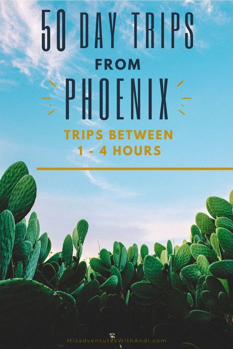 Looking for a day trip from Phoenix that is between 1 to 4 hours away? Phoenix is the perfect central hub for a long list of Arizona day trips and I've got more than 50 of them for you to choose from! Visiting Arizona and take a day trips from Phoenix. This list of the best climbing, hiking day trips from Phoenix has something for everyone. #phoenix #arizona #phoenixdaytrip Visiting Arizona, Arizona Day Trips, Phoenix Travel, Arizona Vacation, Visit Arizona, Arizona Road Trip, Arizona Travel, The Best Day, United States Travel