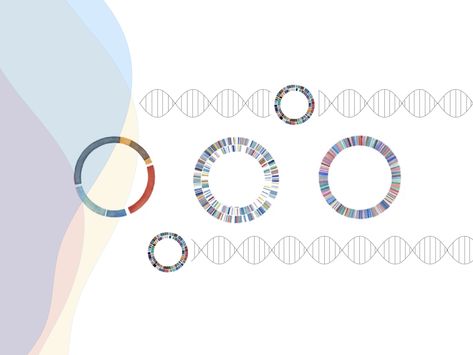 Plasmid DNA- Structure, Function, Isolation And Applications Recombinant Dna Technology, Recombinant Dna, Dna Structure, Dna Technology, Molecular Genetics, Dna Sequence, Let's Make Art, Genetic Engineering, Gene Therapy