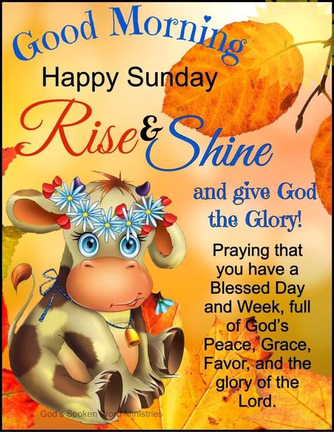 Its Sunday Quotes, Blessed Sunday Morning Quotes, Good Morning Happy Sunday Quotes, Good Morning Blessed Sunday, Sunday Greetings Good Morning, Good Sunday Morning Blessings, New Week New Blessings, Good Morning Sunday Wishes, Sunday Morning Quotes Inspirational