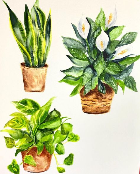 Plant Watercolor, Cute Sketches, Watercolor Plants, Plant Drawing, Watercolor Sketch, Watercolor Artist, Watercolor Illustration, Potted Plants, Still Life