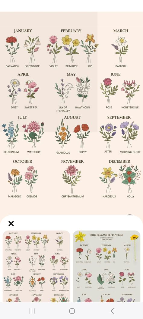 Flower Of The Month Chart, October Month Flower, Birth Flower Chart, April Flower, June Flower, June Birth Flower, Flower Calendar, Flower Chart, April Flowers