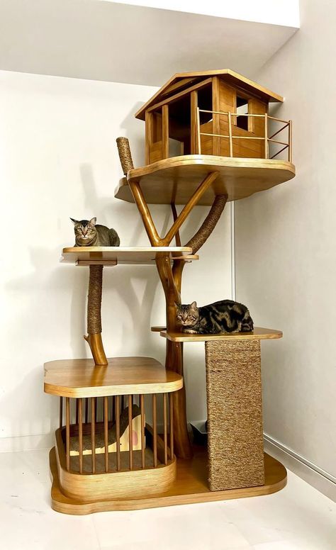 Elgato n Floki (1) Mainecoon Cat Tree, Real Wood Cat Tree, Fancy Cat Tree, Harry Potter Cat Tree, Cat Habitat Indoor, Hidden Shoe Storage Ideas, Shoe Storage Ideas Bedroom, Driftwood Cat Tree, Cat Tower Plans