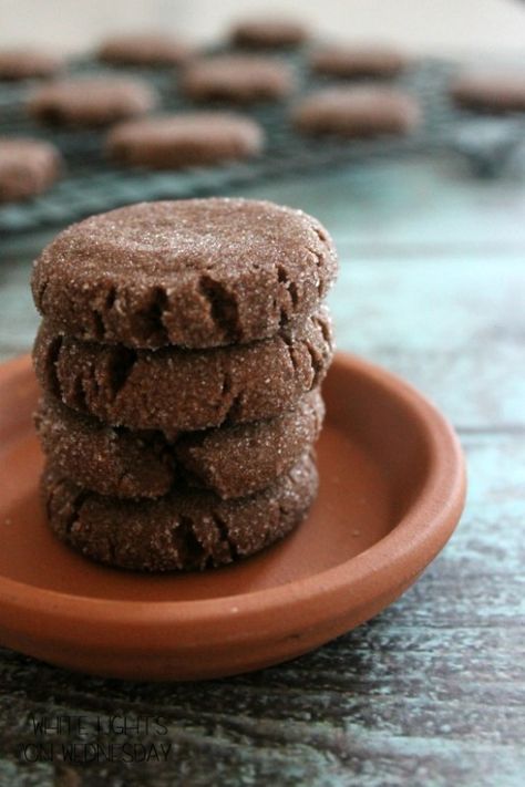 Mexican Hot Chocolate Shortbread | White Lights on Wednesday Abuelita Chocolate, Mexican Hot Chocolate Cookies, Bread Booze Bacon, Spicy Chocolate, Chocolate Shortbread, Best Holiday Cookies, Best Christmas Cookie Recipe, Sweet Bites, Hot Chocolate Cookies