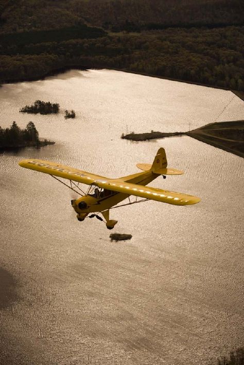 Piper J3 Cub, J3 Cub, Piper Cub, Piper Aircraft, Bush Pilot, Pie In The Sky, Airplane Photography, 2024 Vision, Radio Control