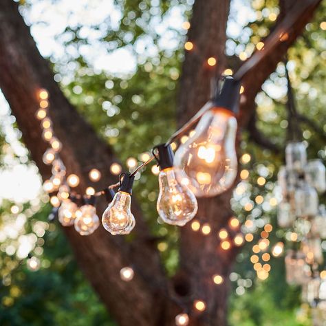 String Lighting, Outdoor String Lights, Vintage Bulbs, Light Ideas, Vintage Edison Bulbs, Edison Lighting, Outdoor Lights, Solar Lights Garden, Event Ideas