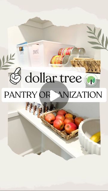 Emma Villaneda on Instagram: "Dollar Tree ✨PANTRY✨ organization ideas!   👉🏻 Which idea was your favorite?!  🤩📸👇🏻 SHOPPING list: 🛒 Dollar Tree Wire Basket  🛒 Dollar Tree Locker Bins 🛒 Dollar Tree Beverage Dispenser Bins 🛒 Dollar Tree Clear Acrylic Containers/ Jars 🛒 Dollar Tree Large Woven Style Baskets 🛒 Dollar Tree Fabric Storage Box w/ Lid   #diy #organization #organizationideas #dollartree #hack #homehacks #home #homedesign #diyproject #tutorial #hacks #budgethomedecor #lifestyle #decorhacks #lookforless #kitchen #pantry #pantryorganization #design #diyproject" Dollar Tree Seasoning Organization, Pantry Organization Design, Kitchen Dollar Tree Organization, Dollar Tree Storage Ideas Organizing, Dollar Tree Cabinet Organization, Snacks Organization Ideas, Dollar Tree Organization Bedroom, Dollar Tree Craft Organization Ideas, Dollar Tree Pantry Organization Ideas