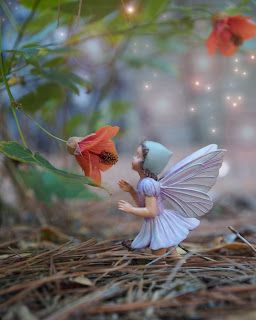 Finding Fairies - The Magic Onions On The Ground, A Flower, Flowers, Figurine